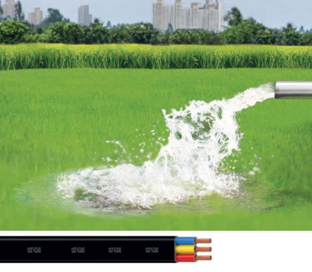 Polycab Wire Distributor